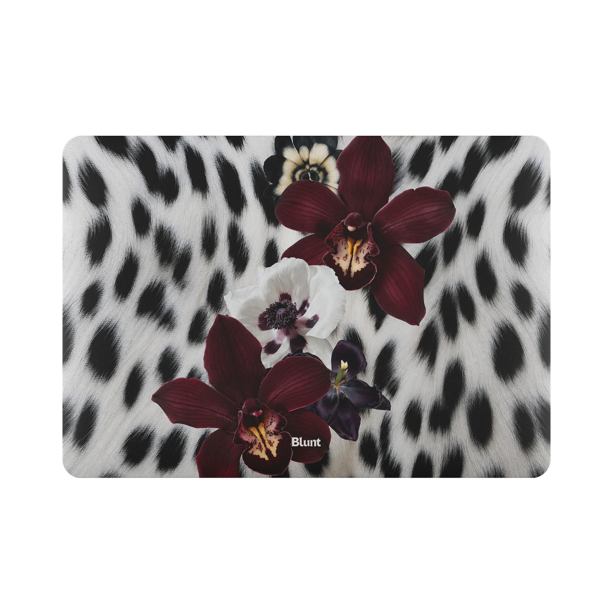 MacBook_Air_6