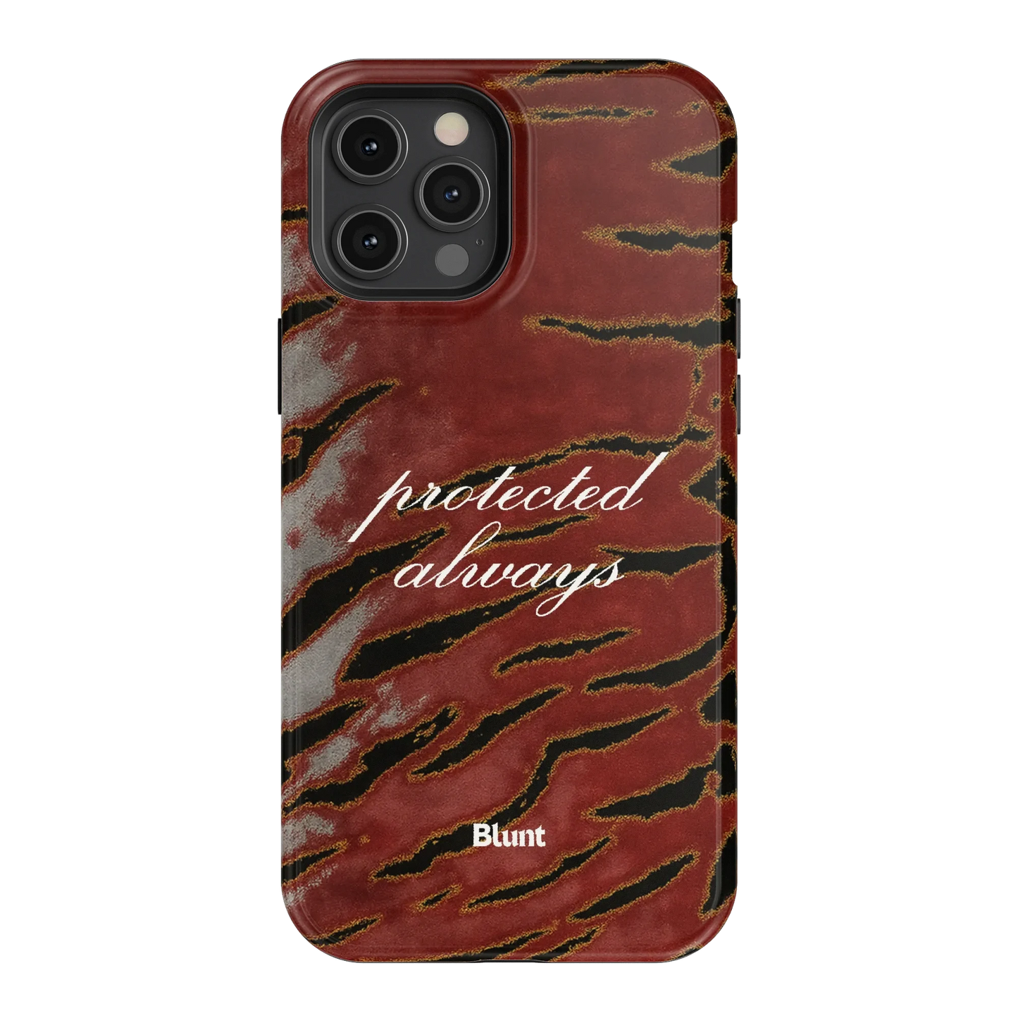 Protected iPhone Case