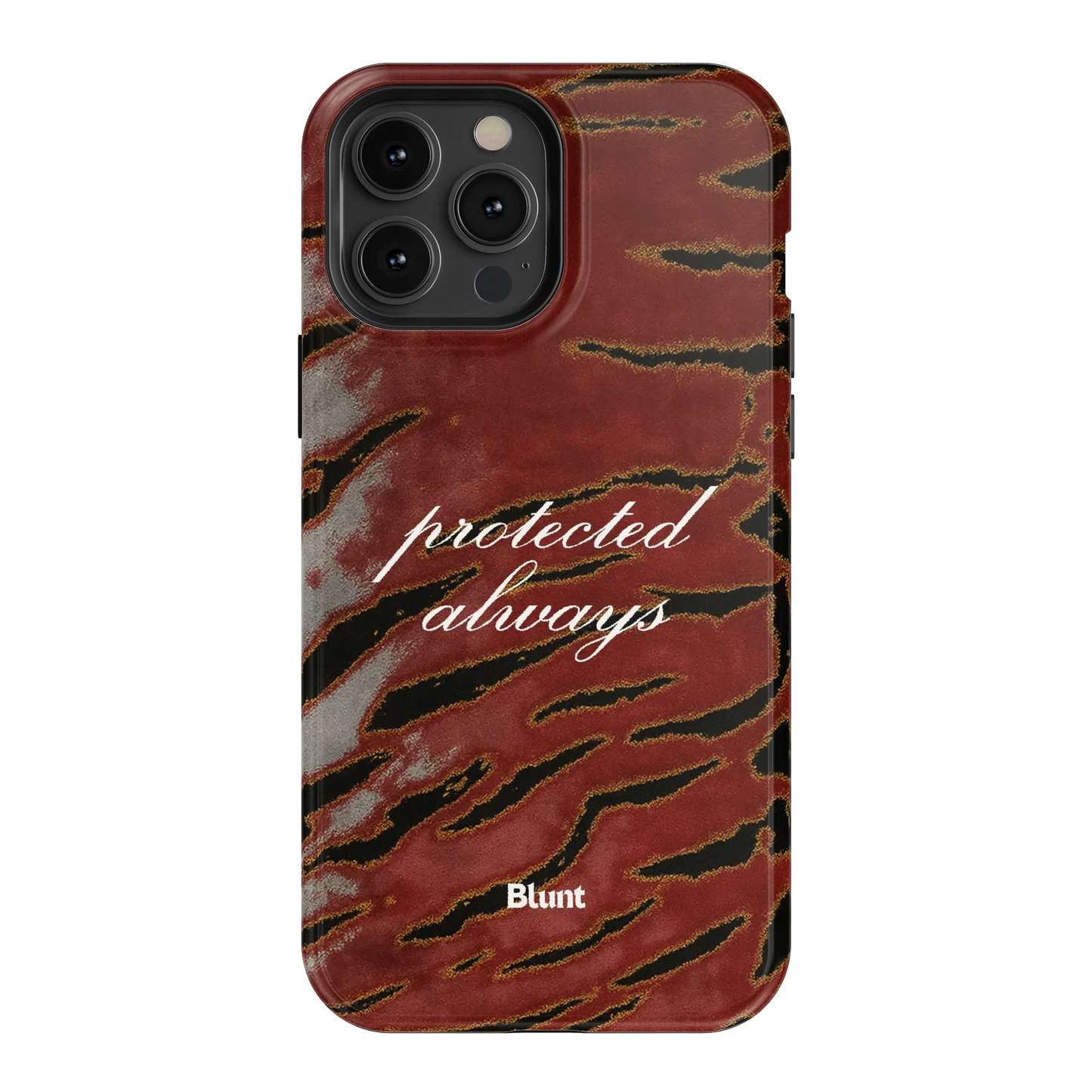 Protected iPhone Case