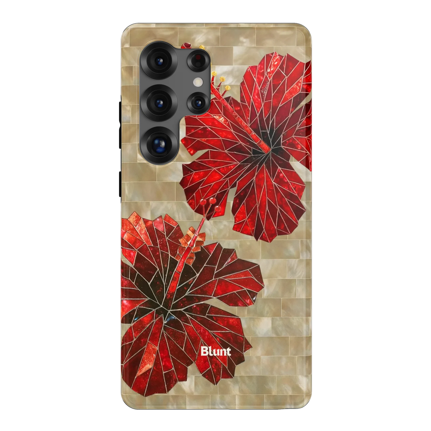Ruby Stone Samsung Case