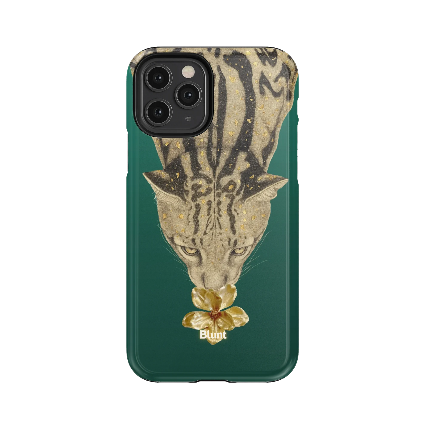 Reina iPhone Case