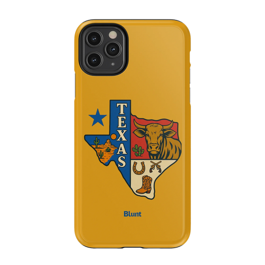 Lone Star iPhone Case