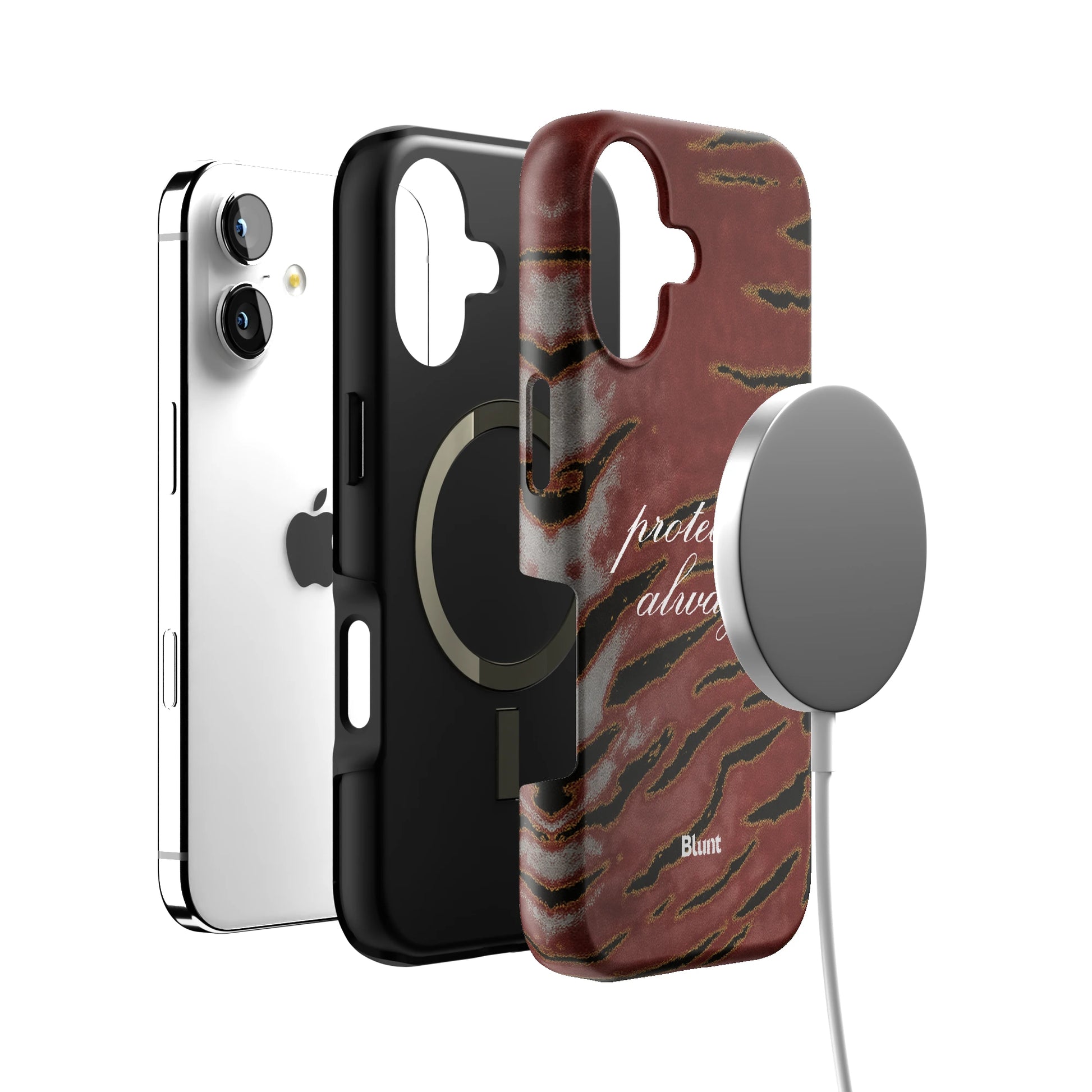 Protected iPhone Case gallery - Iphone_17_Iphone_4