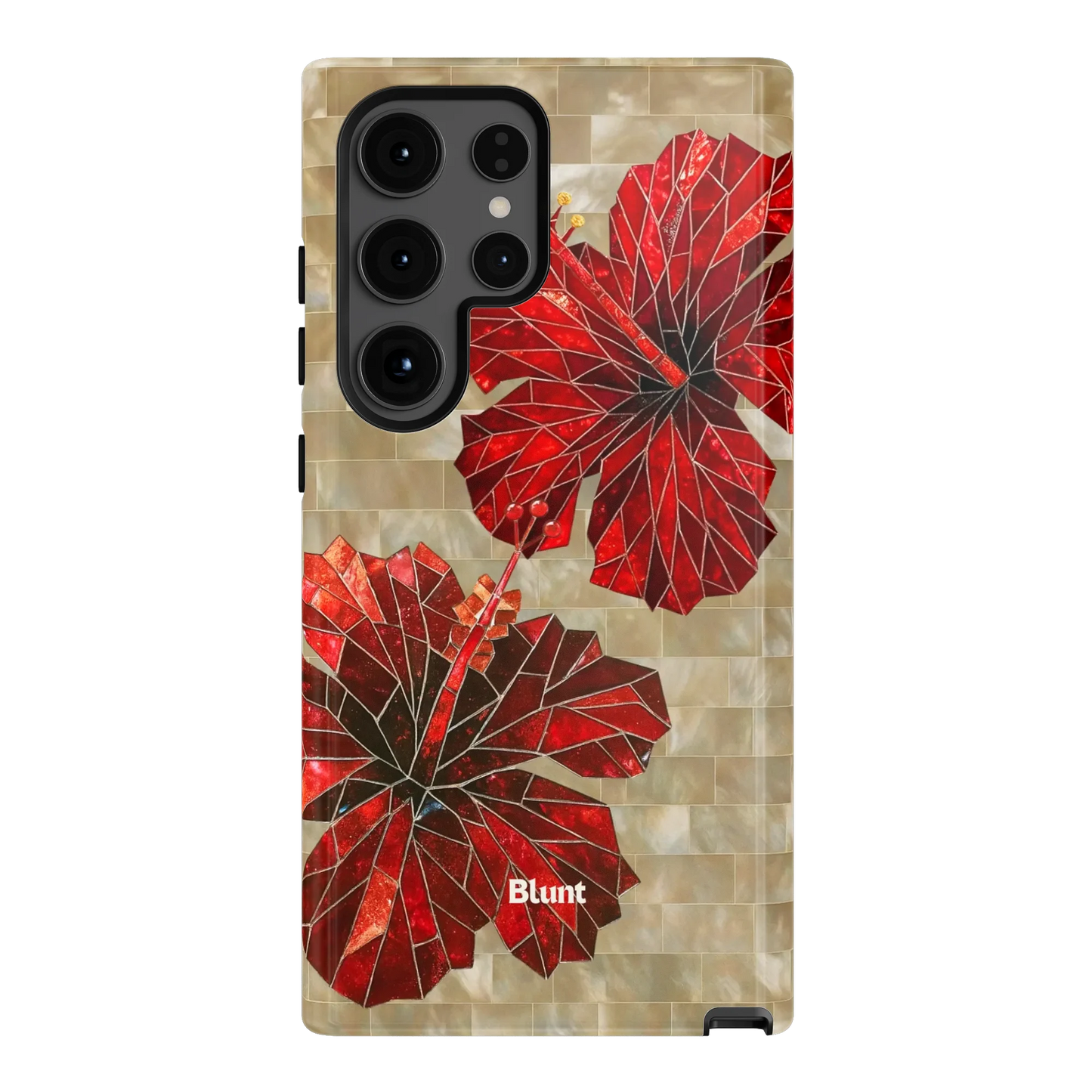 Ruby Stone Samsung Case