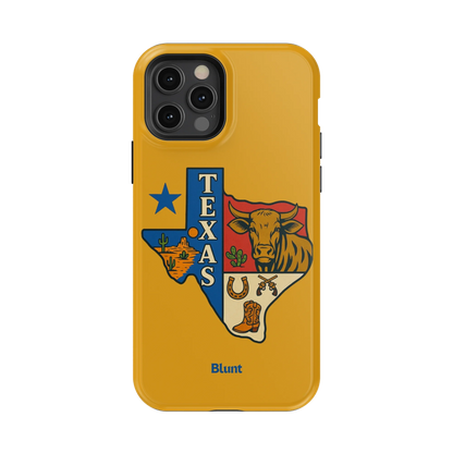 Lone Star iPhone Case