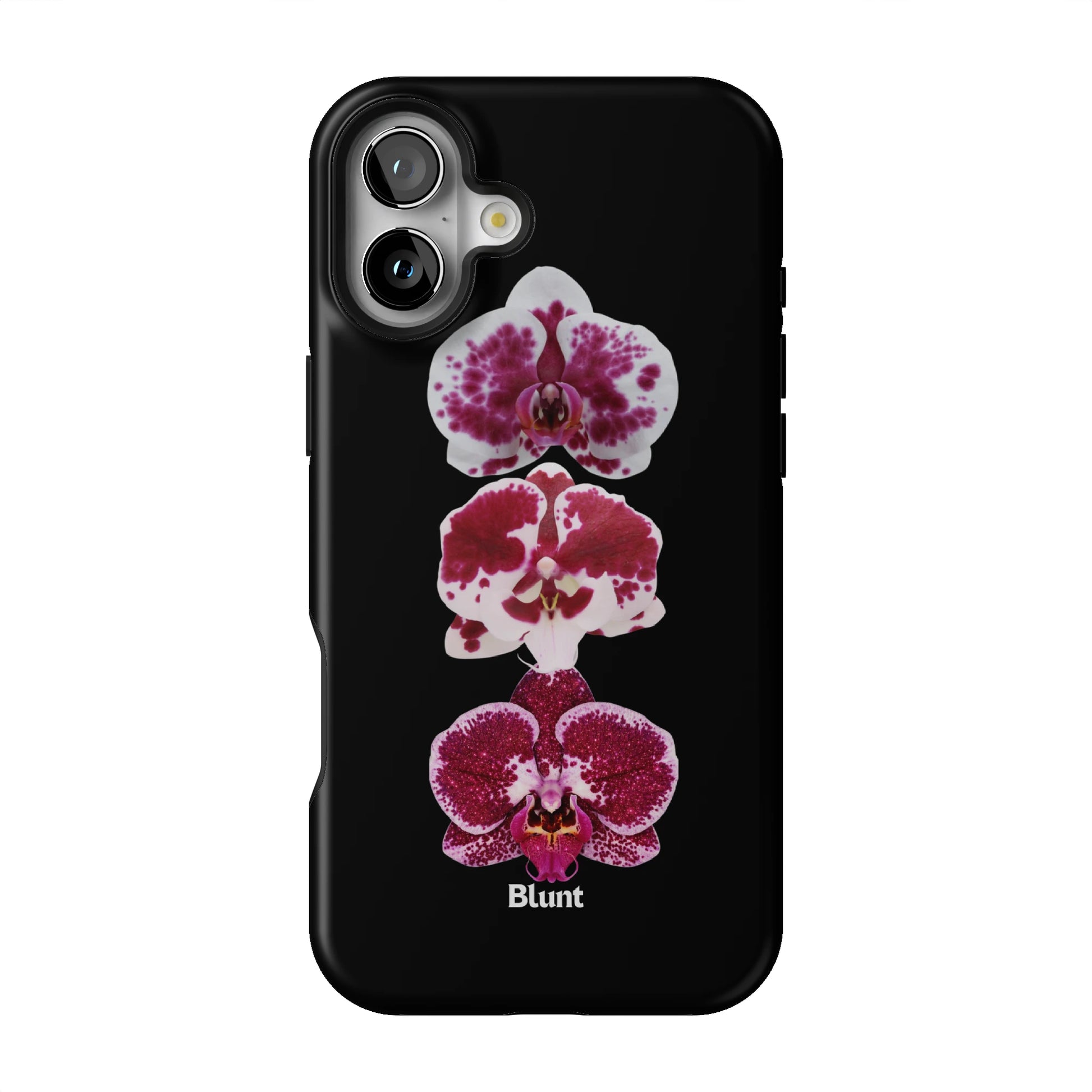 Raine iPhone Case gallery - Iphone_16_Mini_Air_Plus_1