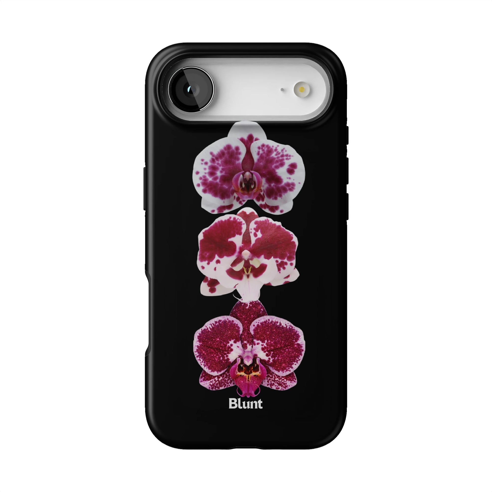 Raine iPhone Case gallery - Iphone_17_Air_1