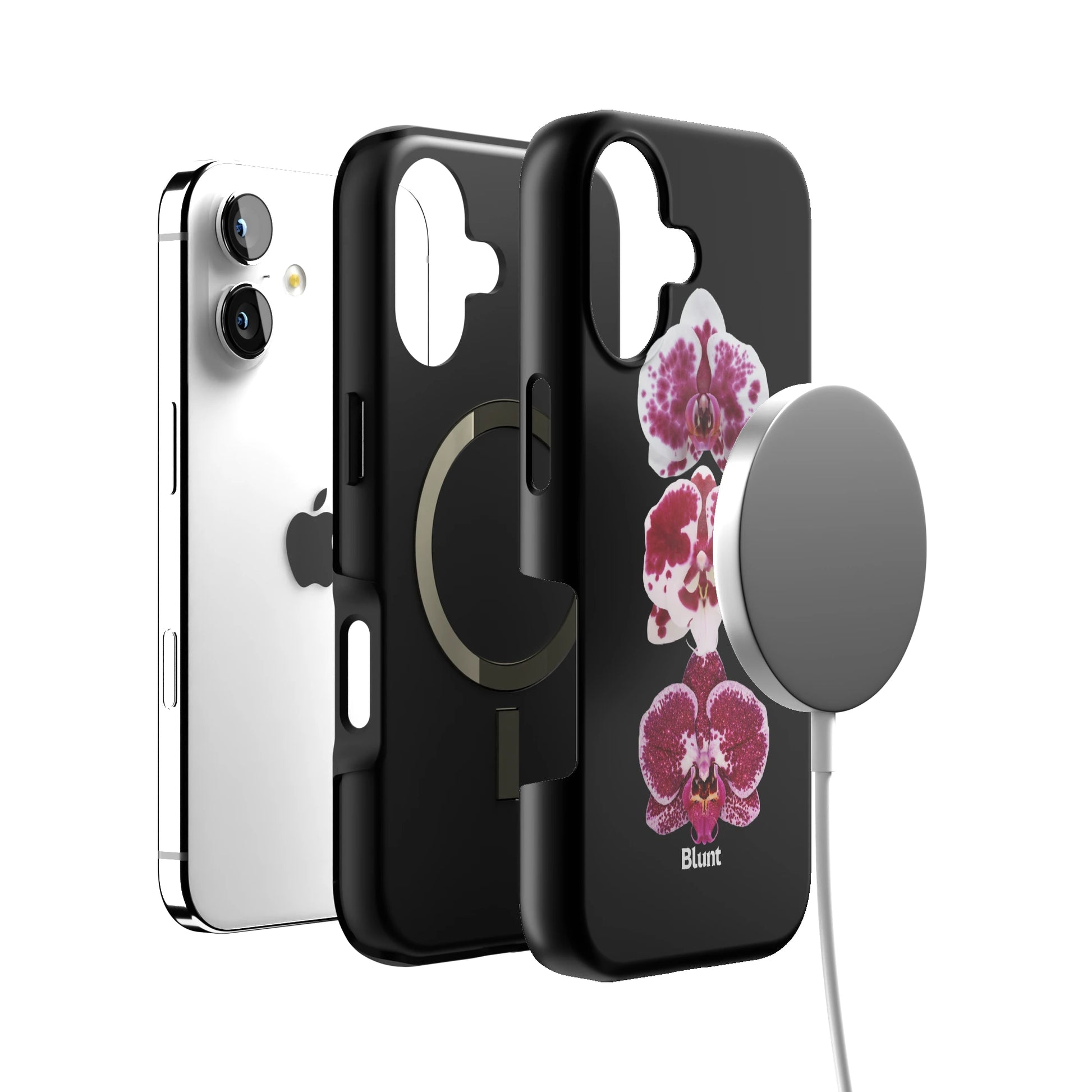 Raine iPhone Case gallery - Iphone_17_Iphone_4