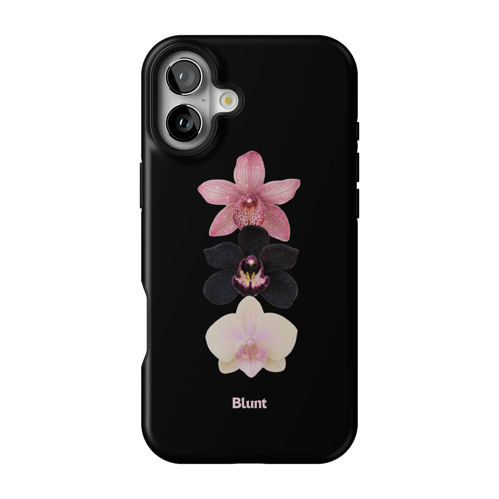Raven iPhone Case gallery - Iphone_16_Mini_Air_Plus_1