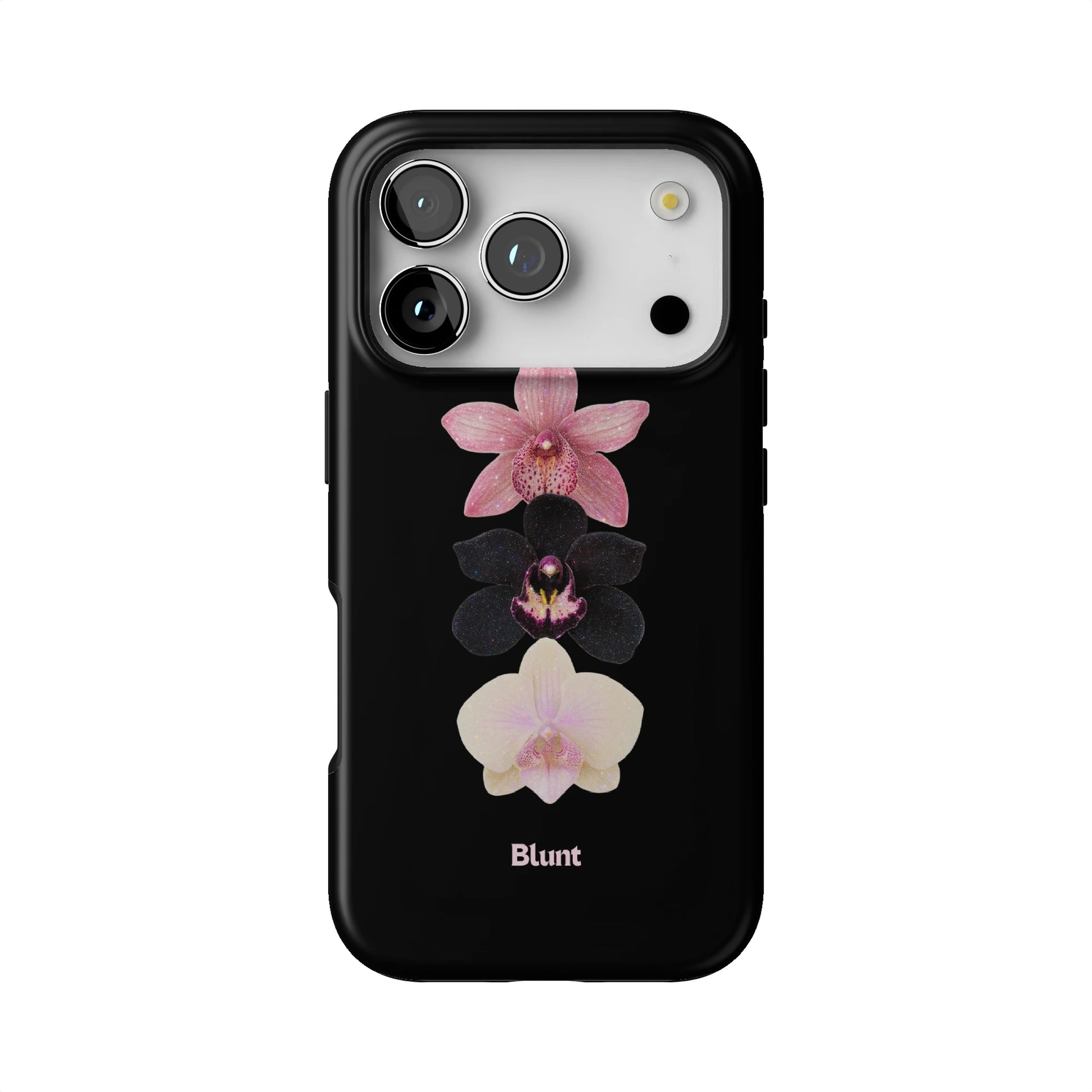 Raven iPhone Case gallery - Iphone_17_Pro_1
