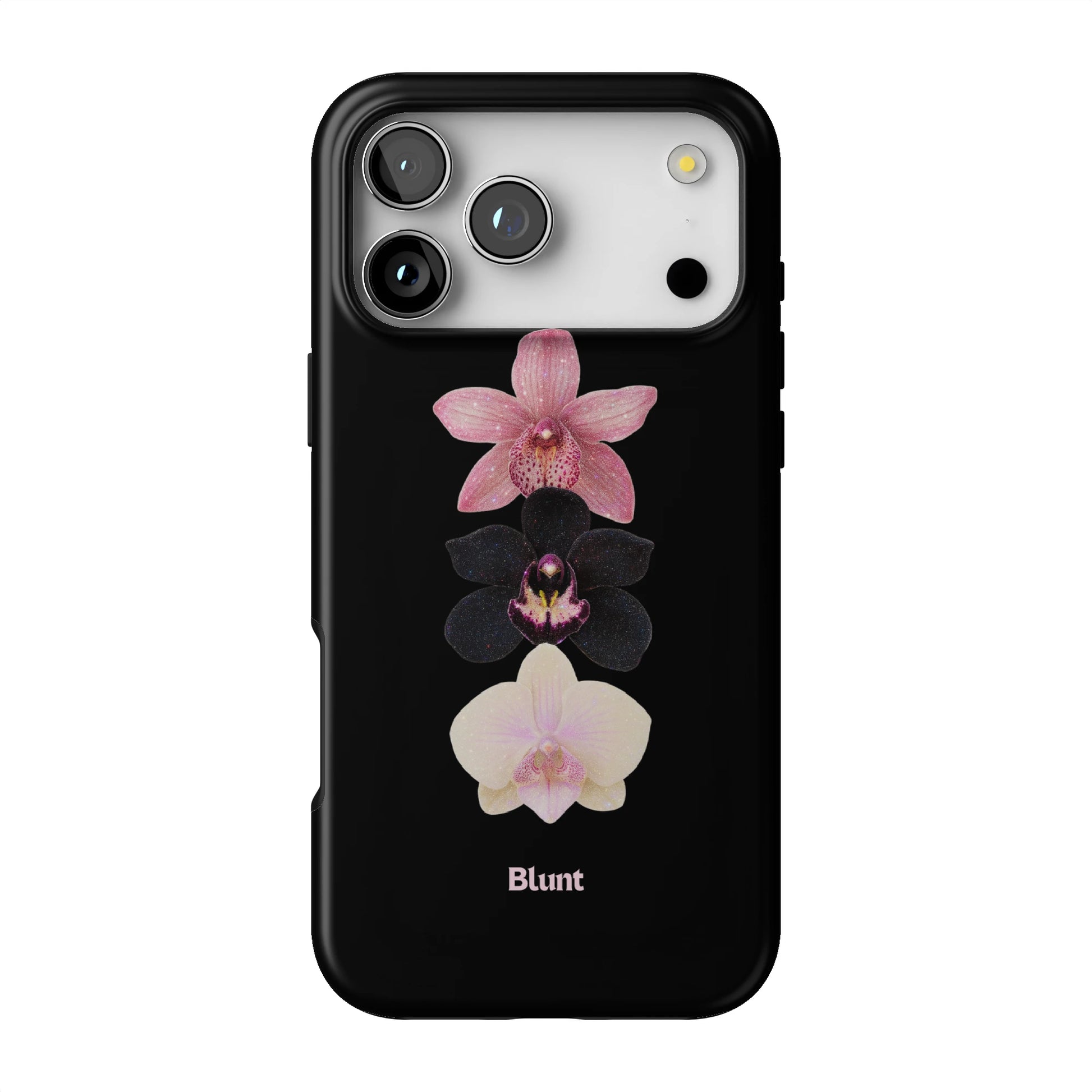 Raven iPhone Case gallery - Iphone_17_Pro_Max_1