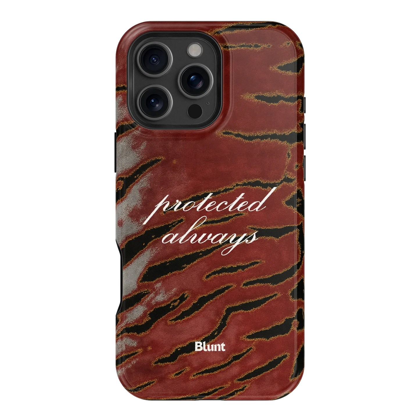 Protected iPhone Case