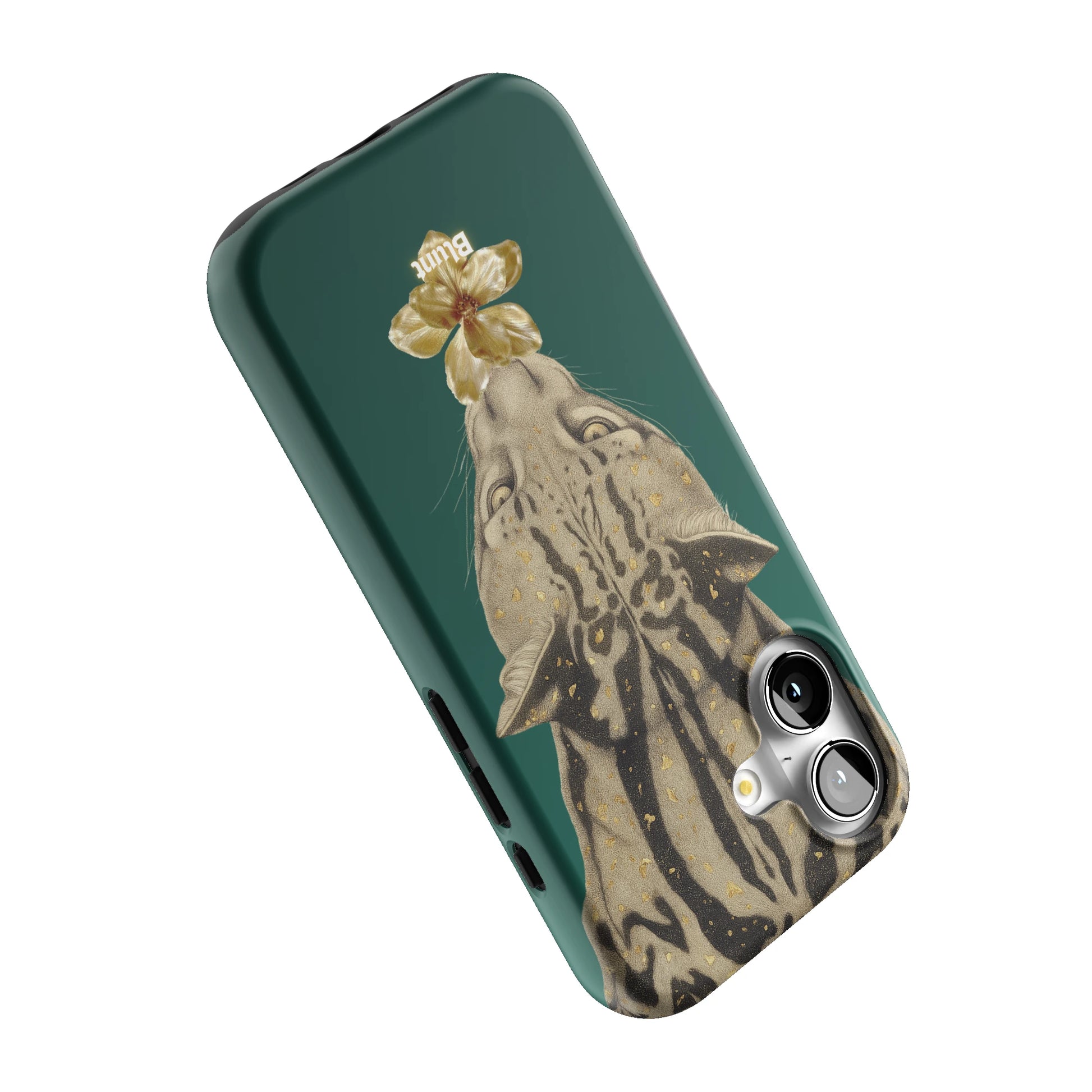 Reina iPhone Case gallery - Iphone_17_Iphone_5
