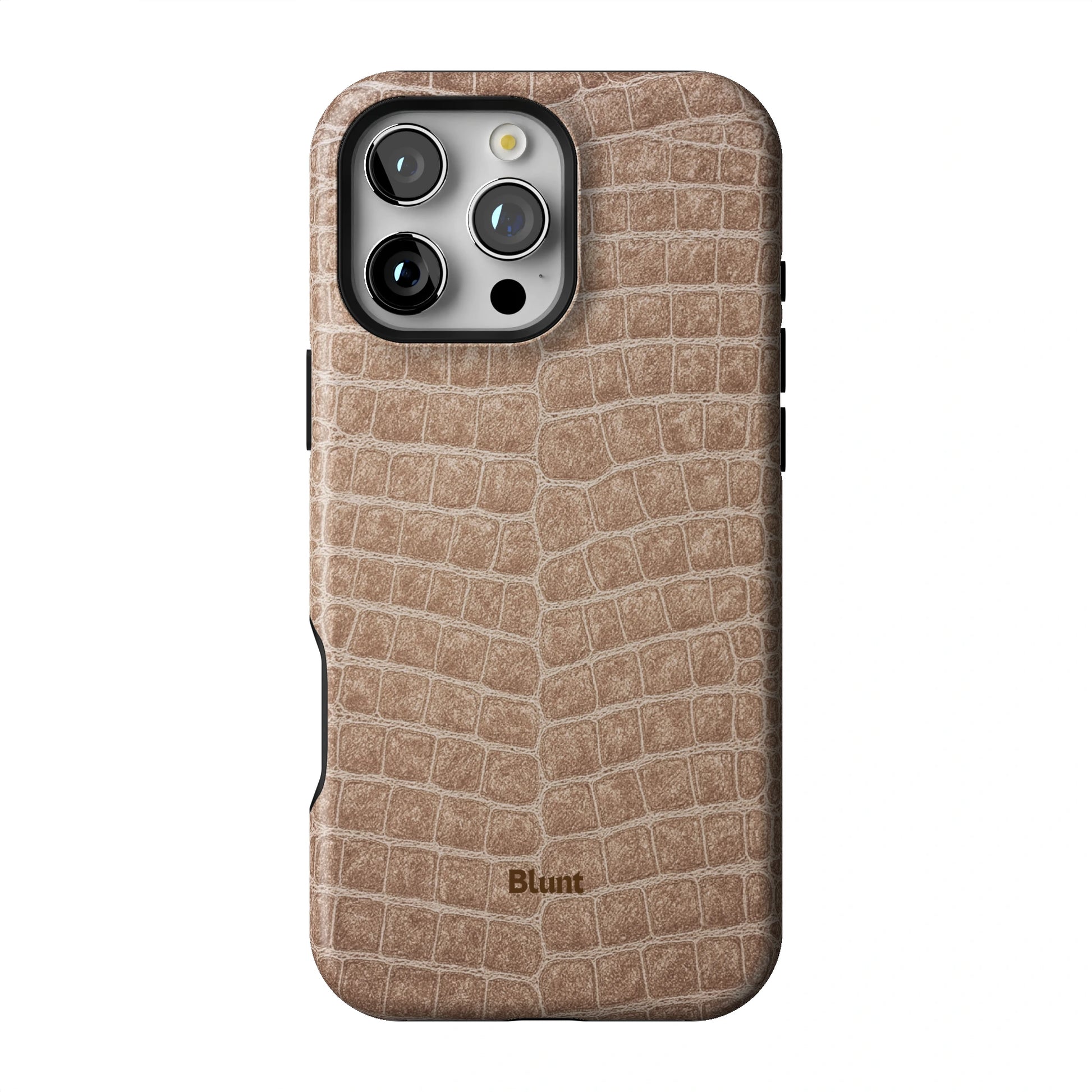 Sandstone iPhone Case gallery - Iphone_16_Pro_Max_1