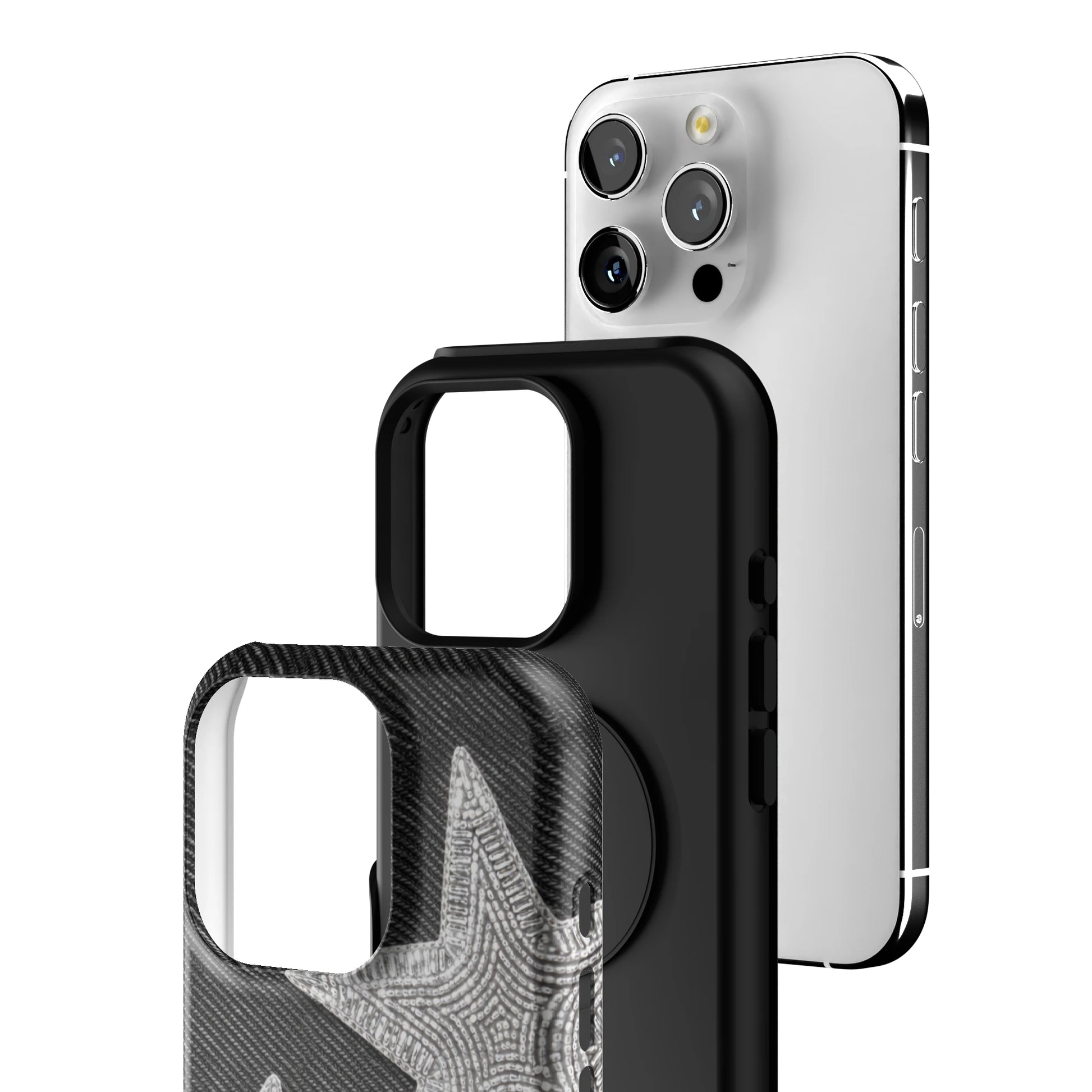 Silver North iPhone Case gallery - Iphone_16_Pro_3