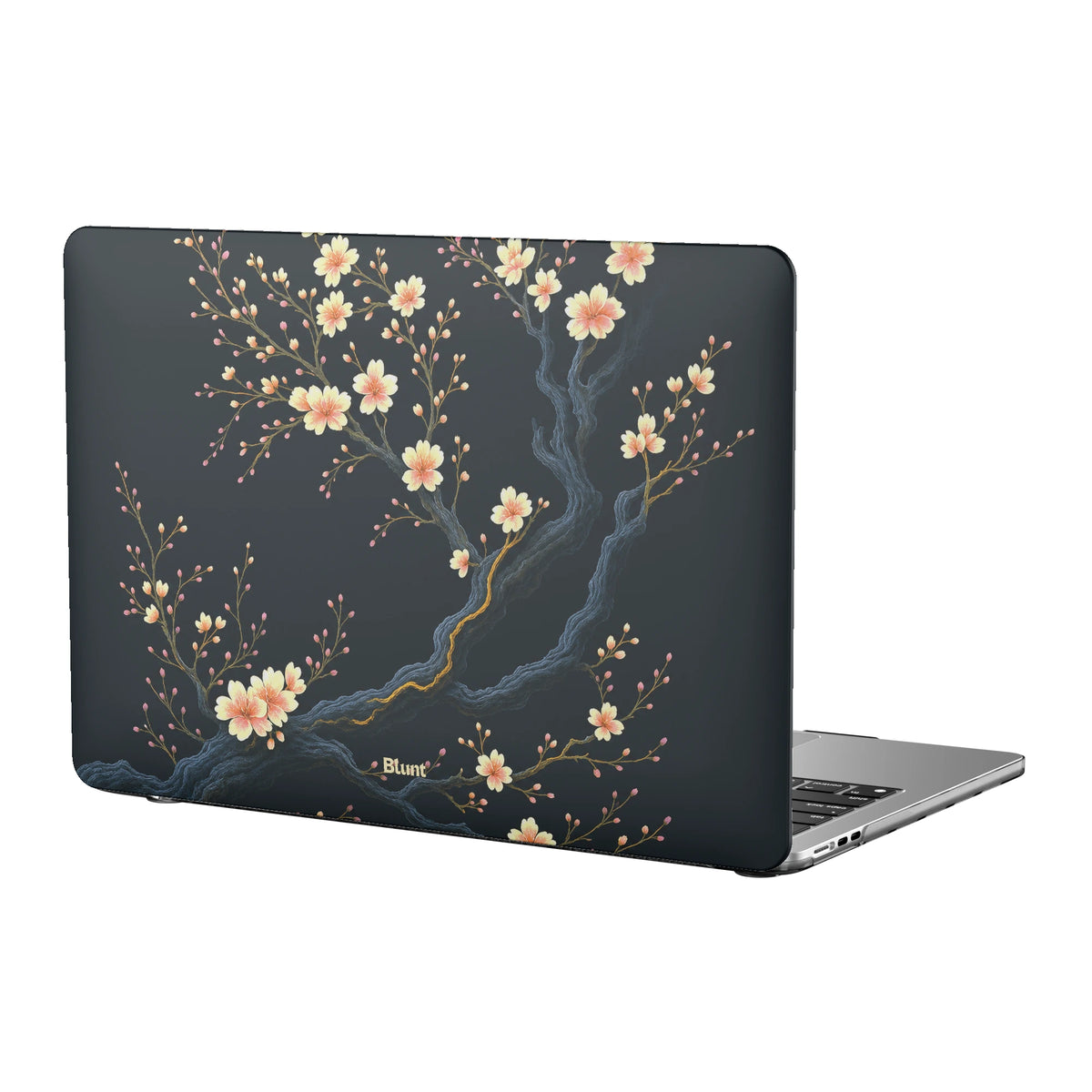 MacBook_Air_1