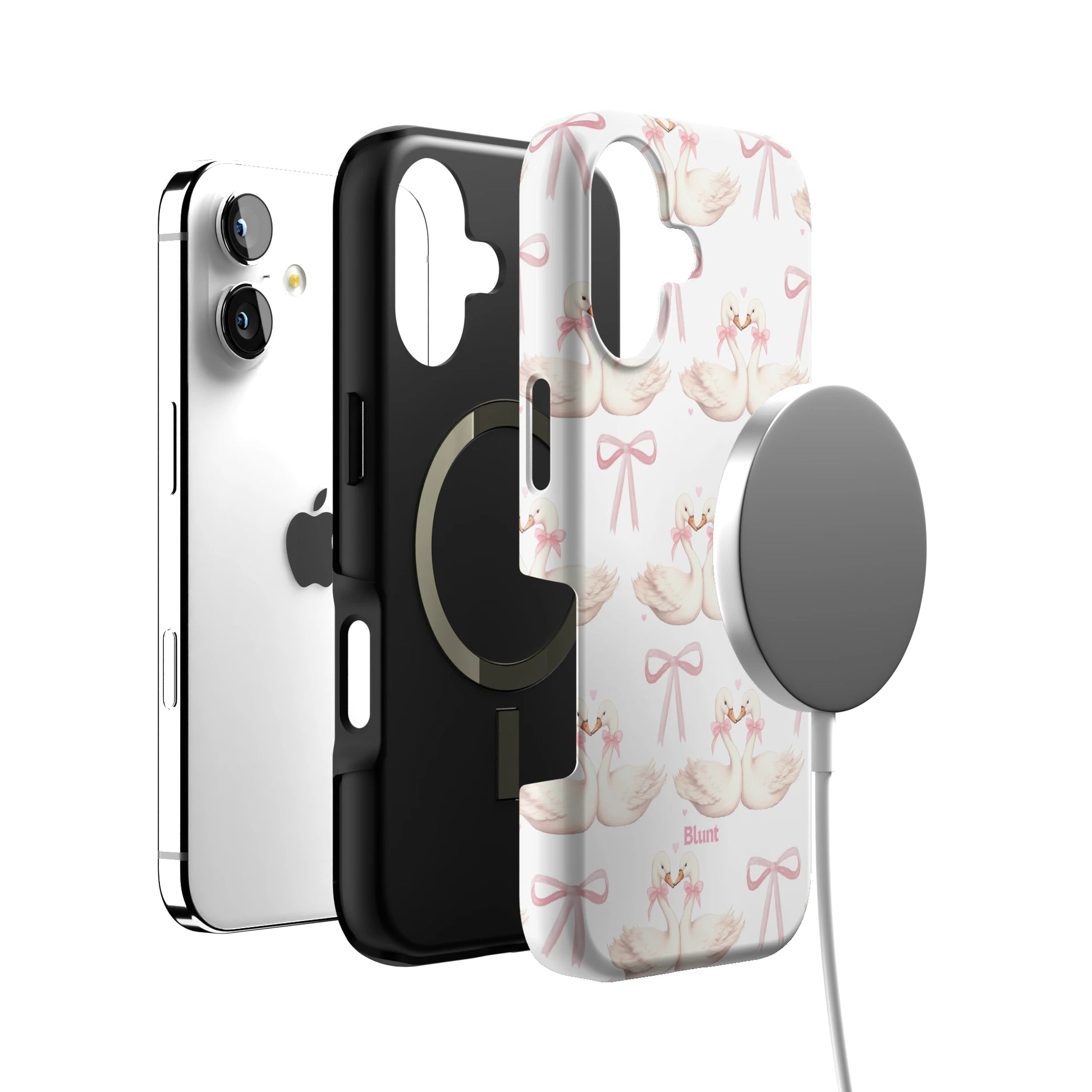 Swan Lake iPhone Case gallery - Iphone_17_Iphone_4