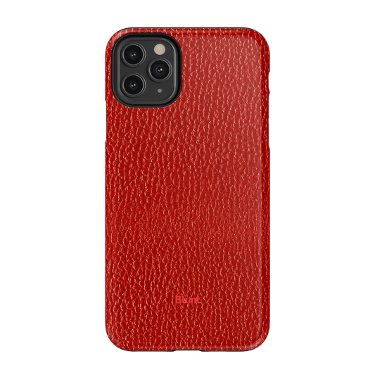 Bravik iPhone Case