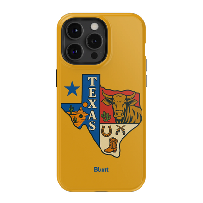 Lone Star iPhone Case
