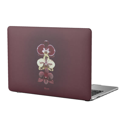 MacBook_Air_1
