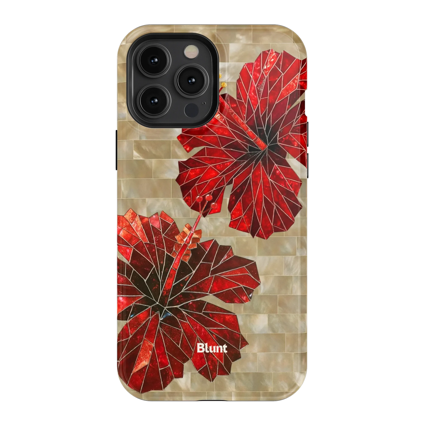 Ruby Stone iPhone Case
