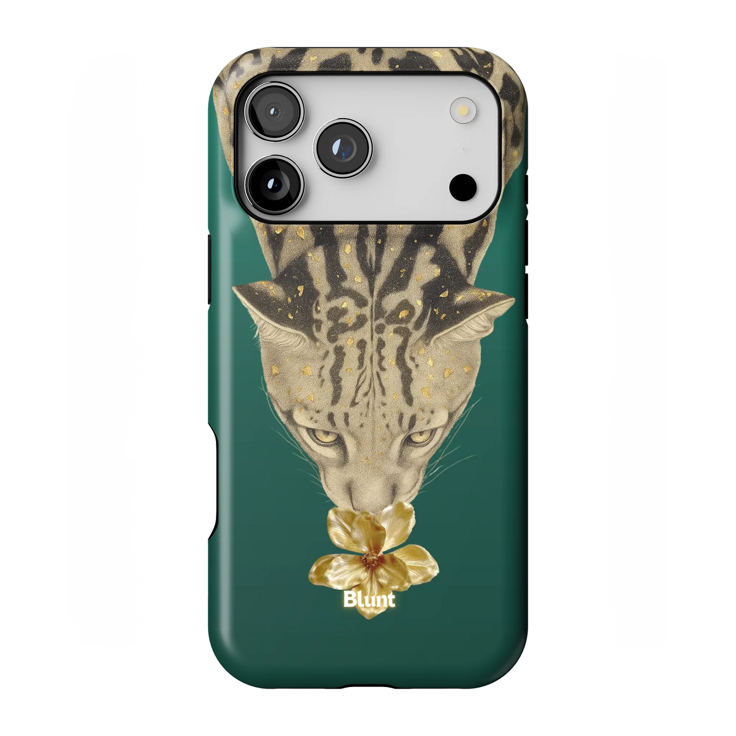 Reina iPhone Case