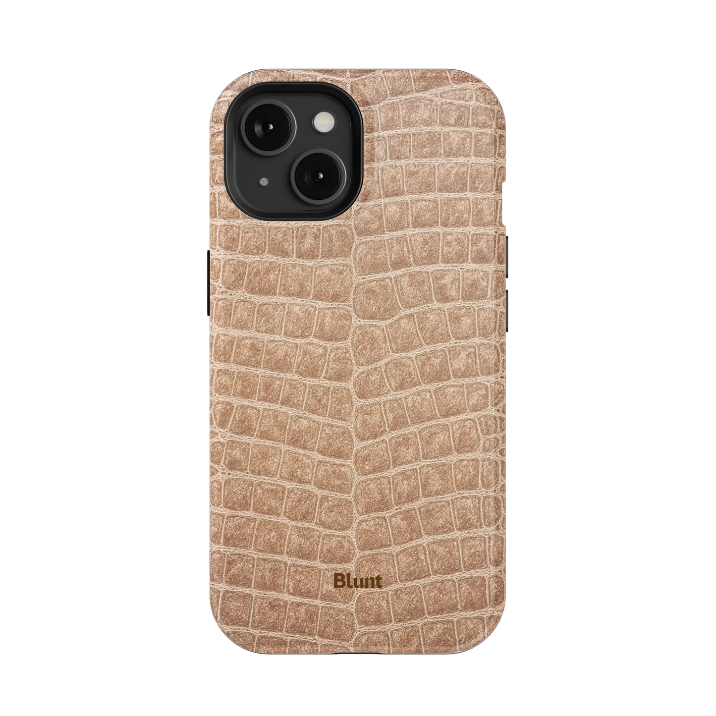 Sandstone iPhone Case