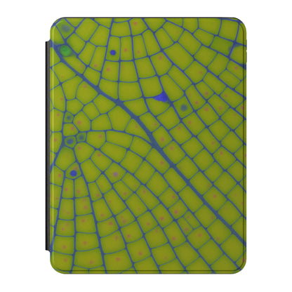 iPad_Branded_11inch_2