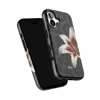 Vermiluxe iPhone Case gallery - Iphone_17_Iphone_6