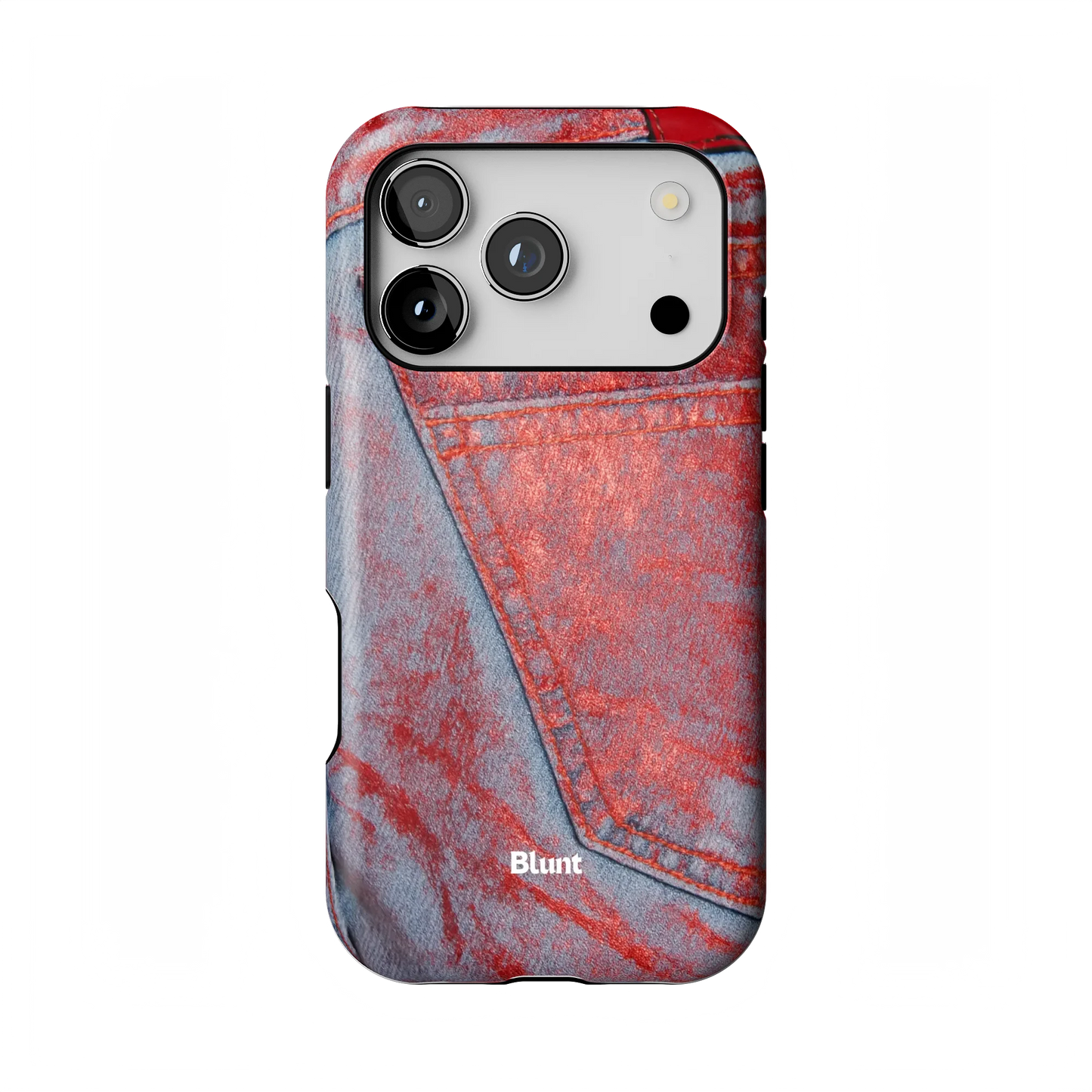 Roudin iPhone Case