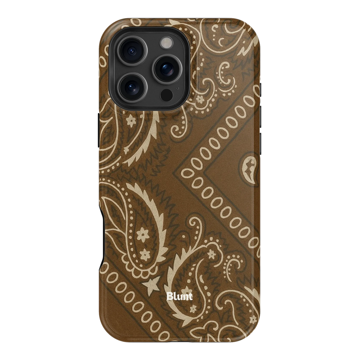 Paisley Ranch iPhone Case