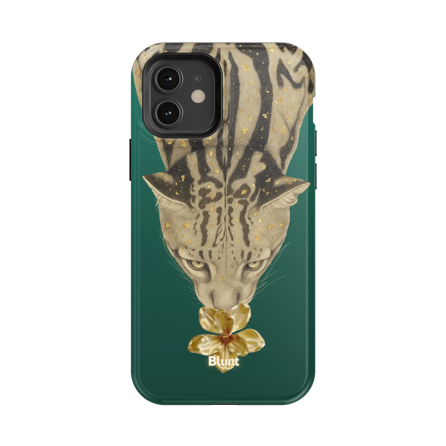 Reina iPhone Case