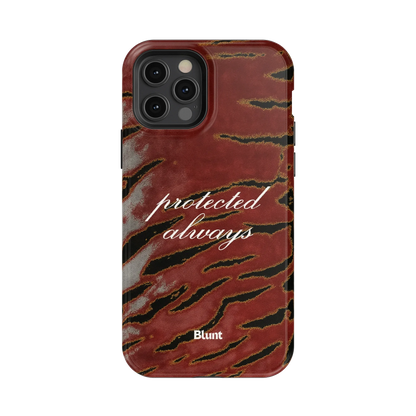 Protected iPhone Case