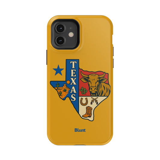 Lone Star iPhone Case
