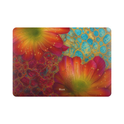 MacBook_Air_6