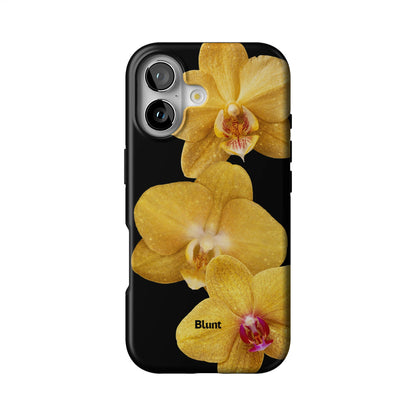 Zannie iPhone Case gallery - Iphone_17_Iphone_1