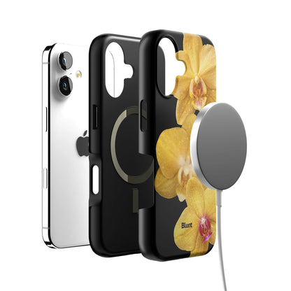 Zannie iPhone Case gallery - Iphone_17_Iphone_4