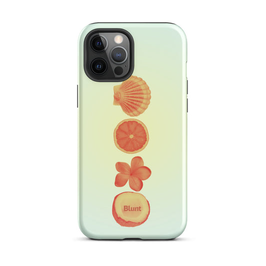 Zest iPhone Case - Blunt Cases