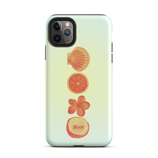 Zest iPhone Case - Blunt Cases